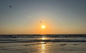 Excelsior Apartaments Mamaia Nord